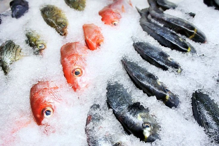 Seafood beku segar hasil laut Kalimantan dari supplier terpercaya